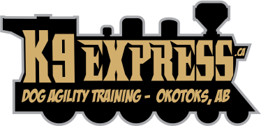 K9 Express